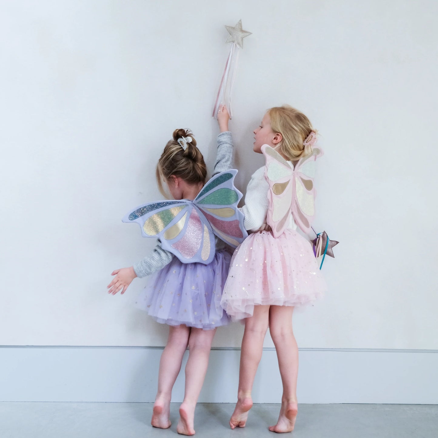 Emmelina Fairy Wings
