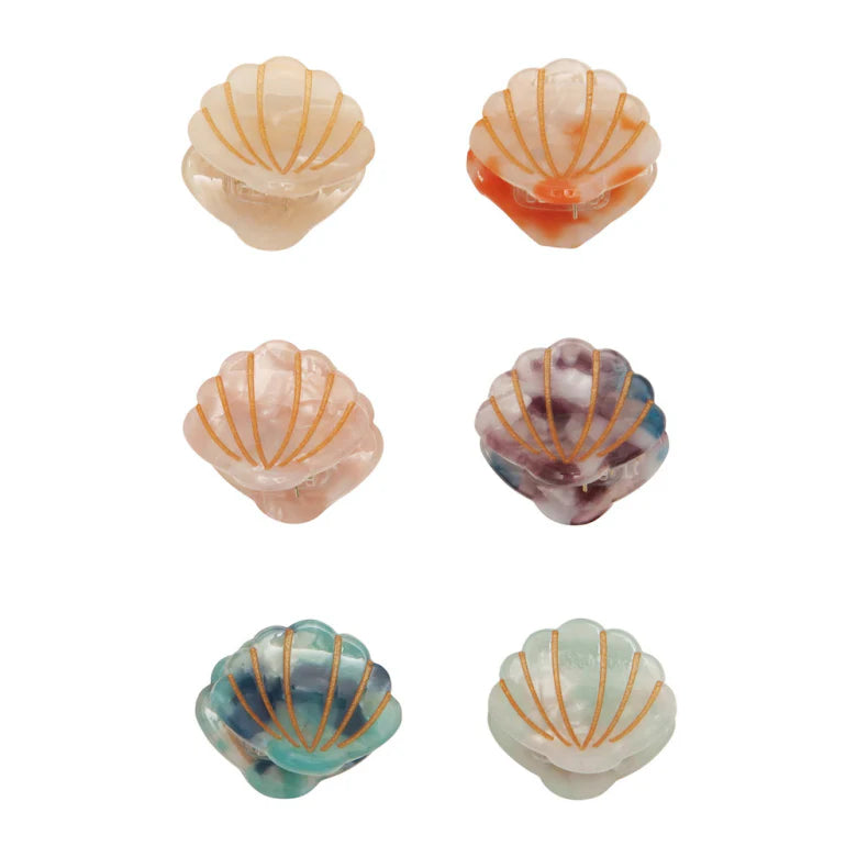 Mini Shell Class Multi
