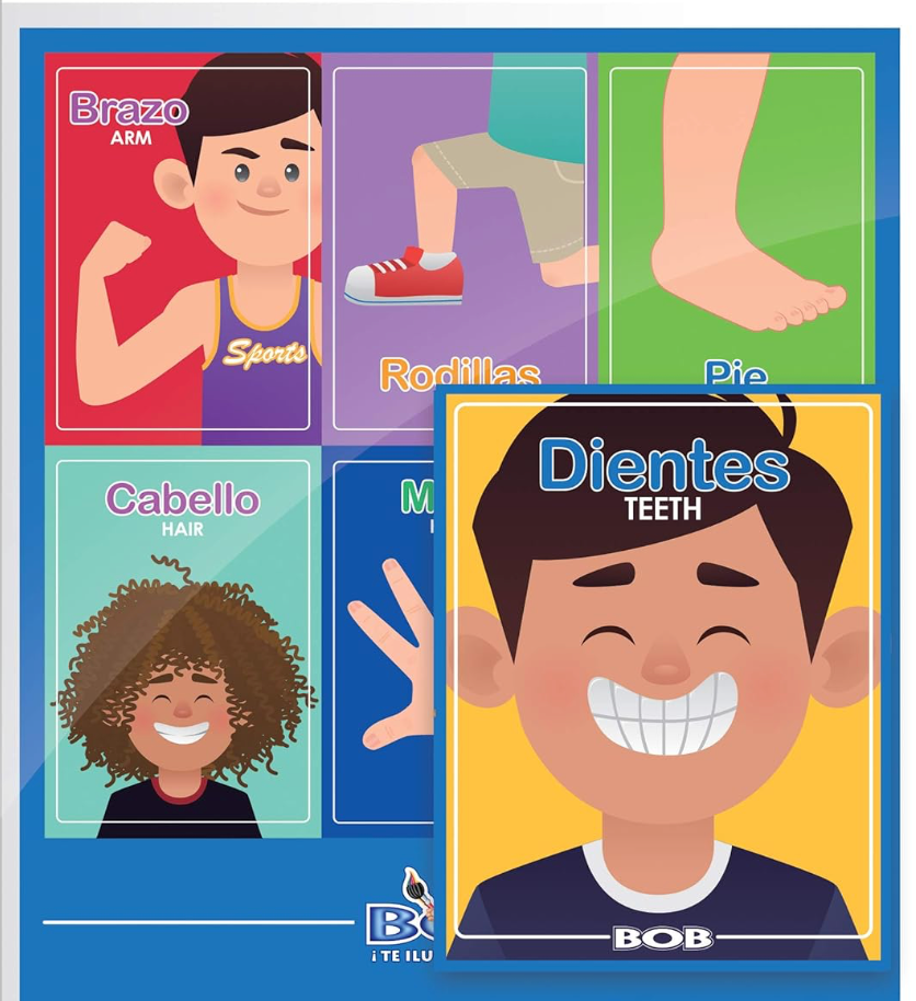 Loteria (set 2 piezas)