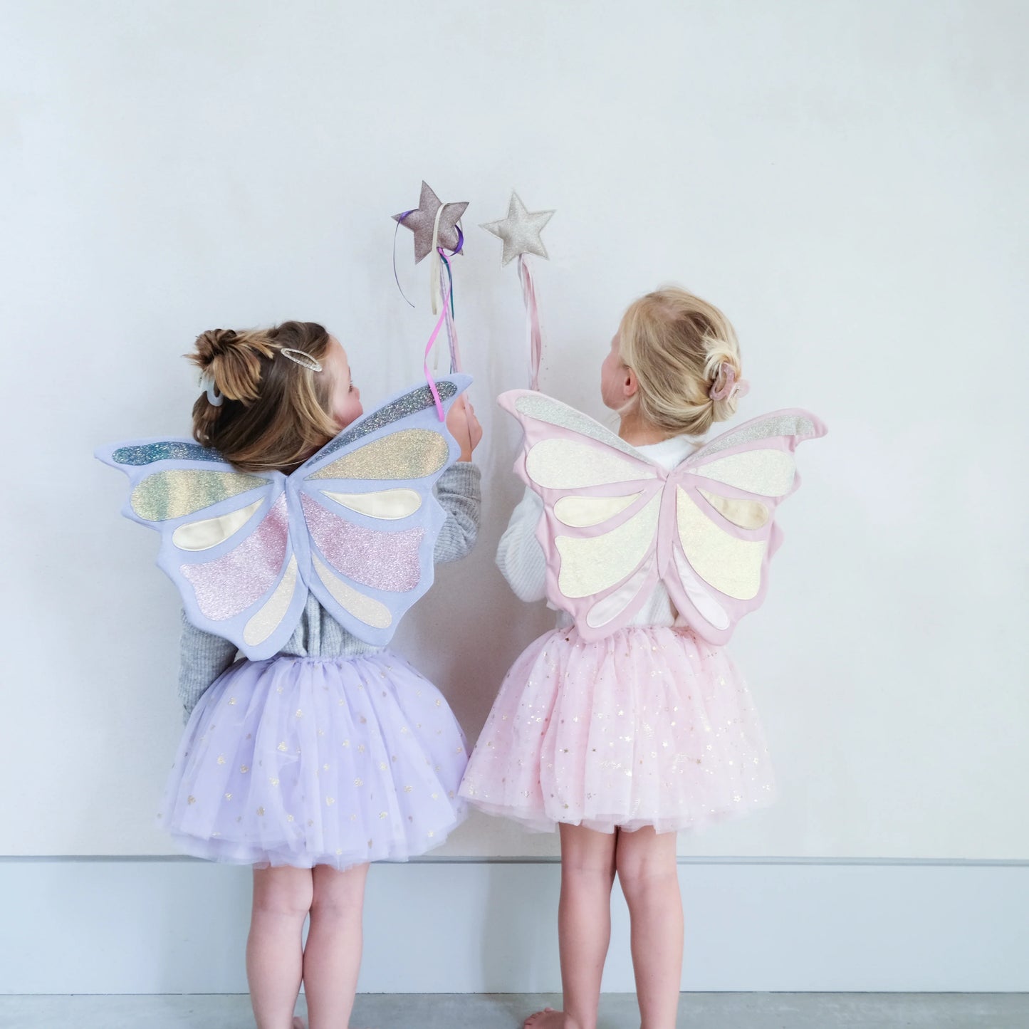 Emmelina Fairy Wings